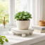 Ensemble de 2 supports pour plantes et supports pour plantes d'intérieur Grigoriy, présentoirs à plantes à piédestal moderne-372554791-358073032