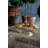 Delores Animals Figurines & Sculptures