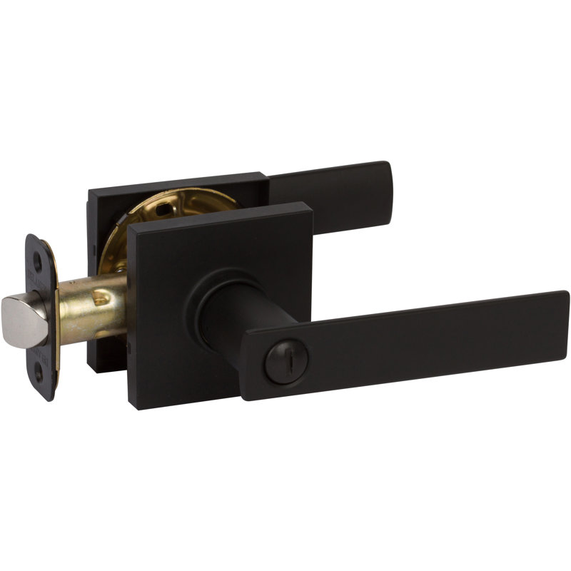 De porte d'intimité avec rosette carrée 'HK, Noir
