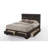 Vanleer Bookcase Bed-1553745533