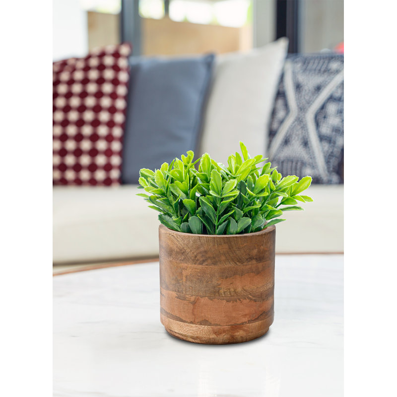 Cache pot Gaylor, H 6 po x l 6,5 po x P 6,5 po