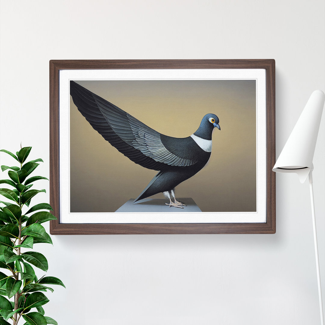 Exhilarating Pigeon Bird - Single Picture Frame Print