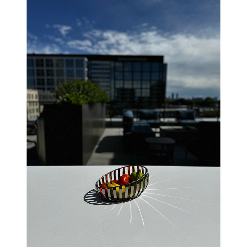 The Basket - Fruit Basket