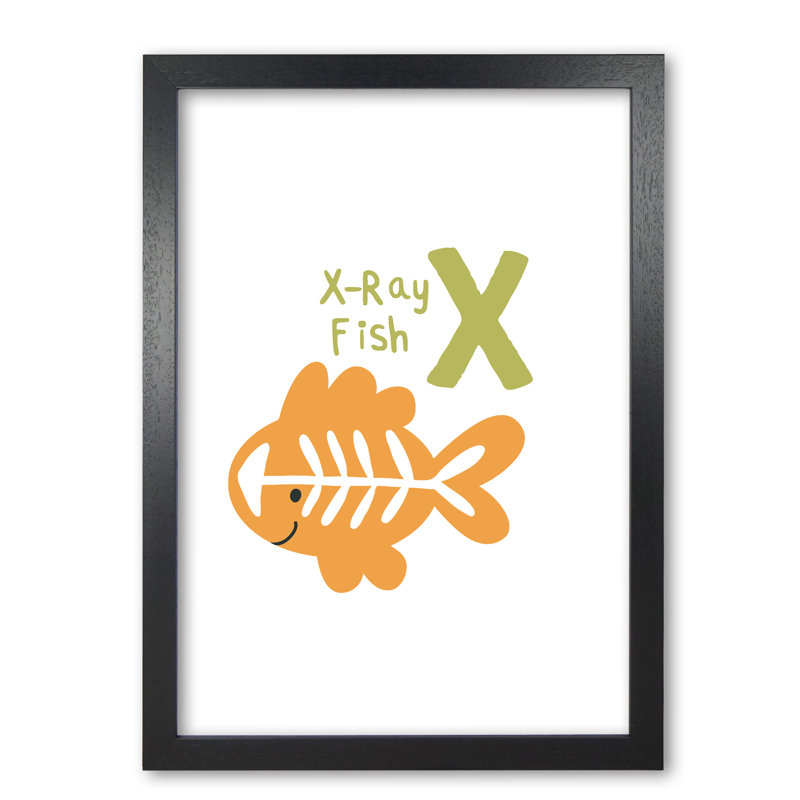 Alphabet Animals, X Is For X-Ray Fish - Print, Black Grain Frame, 60 cm H x 42 cm W x 5 cm D