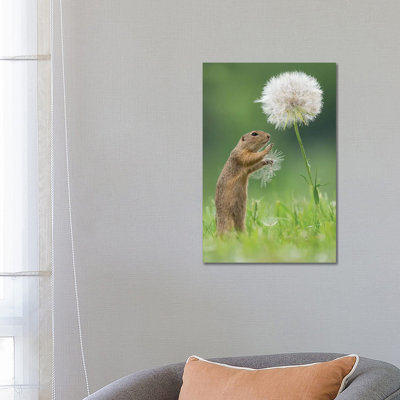 Ziesel With A Very Big Dandelion I by Dick Van Duijn - Print on Canvas