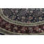 Wool Oriental Area Rug in Navy/Wine