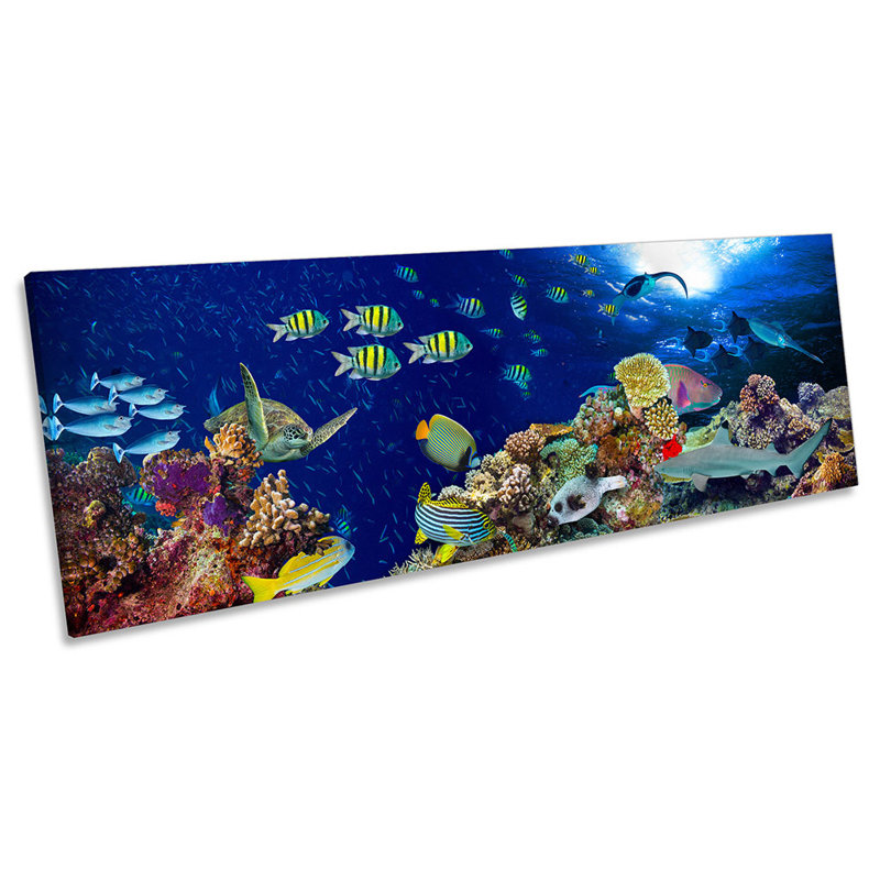 Tropical Fish Marine Coral - Wrapped Canvas Panoramic Print, 30.48cm H x 91.44cm W