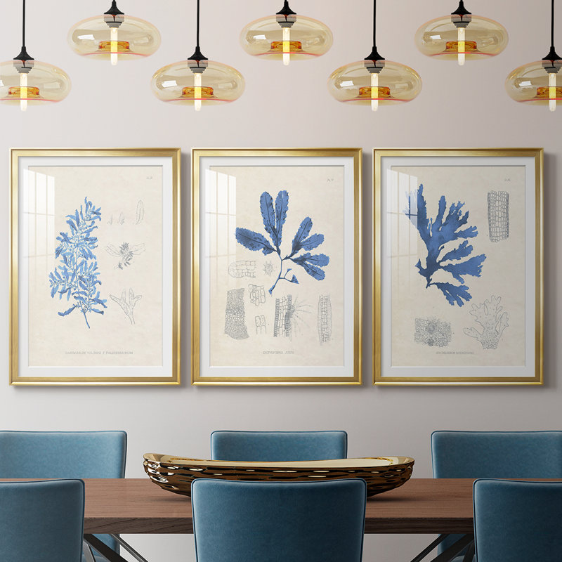 Blue Marine Algae VI - reproduction encadrée sur mesure de qualité supérieure mate - 3 pièces, H 19 po x l 45 po, Doré