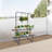 2 Tier Plant Stand With Hanging Rods Metal Plant Holder