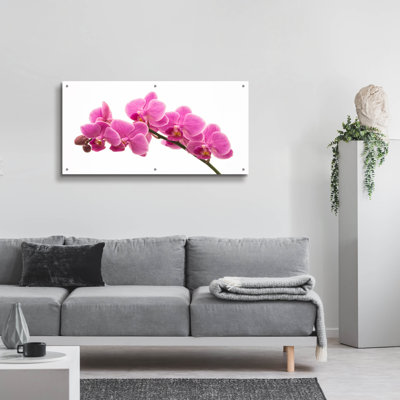 "Pink Orchid On White 01" par Tom Quartermaine
