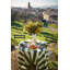 Brezhane St. Tropez Napkins - Stripes - 19" x 19"-661147219