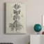 Impression sur toile antique antique botanique III-1113046535