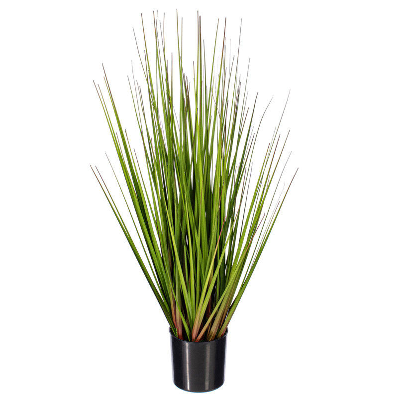 24" Artificial Potted Green/Burgundy Flax Grass, 24" H x 6" W x 6" D