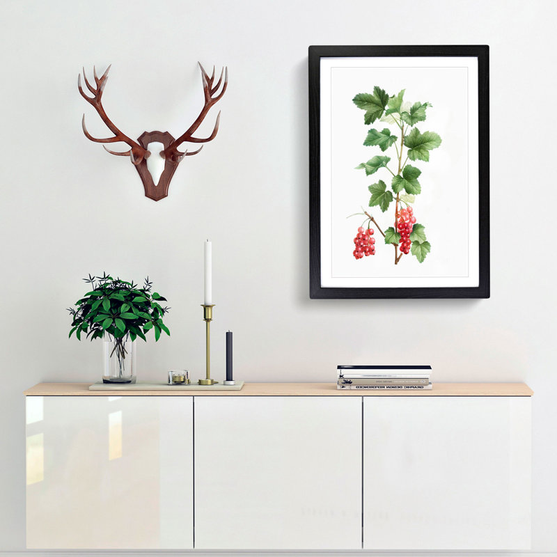 Redcurrant Flowers by Pierre-Joseph Redoute - Picture Frame Painting Print, 36cm H x 27cm W x 2cm D, Black Framed