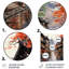 Japon, art de Kyotos, Distinions de Gion-1556998311