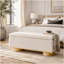 Banquette de rangement moderne 50 po avec repose-pieds en avoine et banc pour le salon de la chambre à coucher
