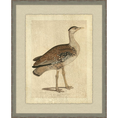Edwards Bustard Painting
