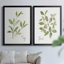 Toile encadrée Herb Sage Premium - prête à être accrochée-1062113810-1062113813