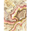 Shell Of Color I Print by L. Bodine-26671557-26671558