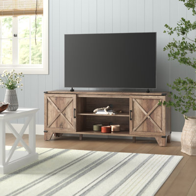 Nguyen 60'' Wide 2-Door TV Stand