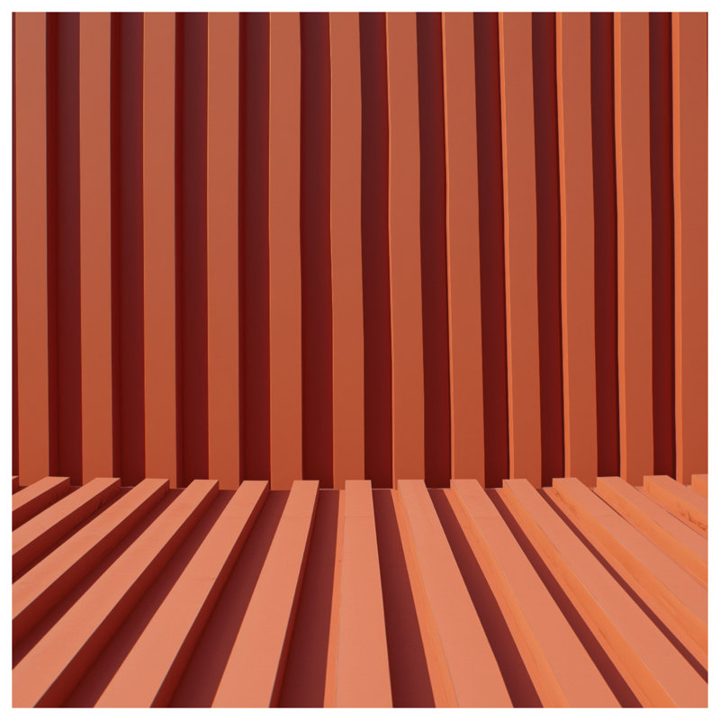 Coussins décoratifs à double face orange, 16 po x 16 po
