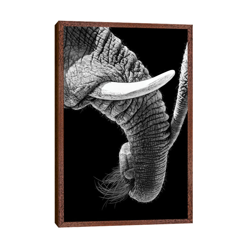 African Elephant Family Bonding by Susan Richey - Gallery-Wrapped Canvas Giclée on Canvas, Classic Wood Framed
