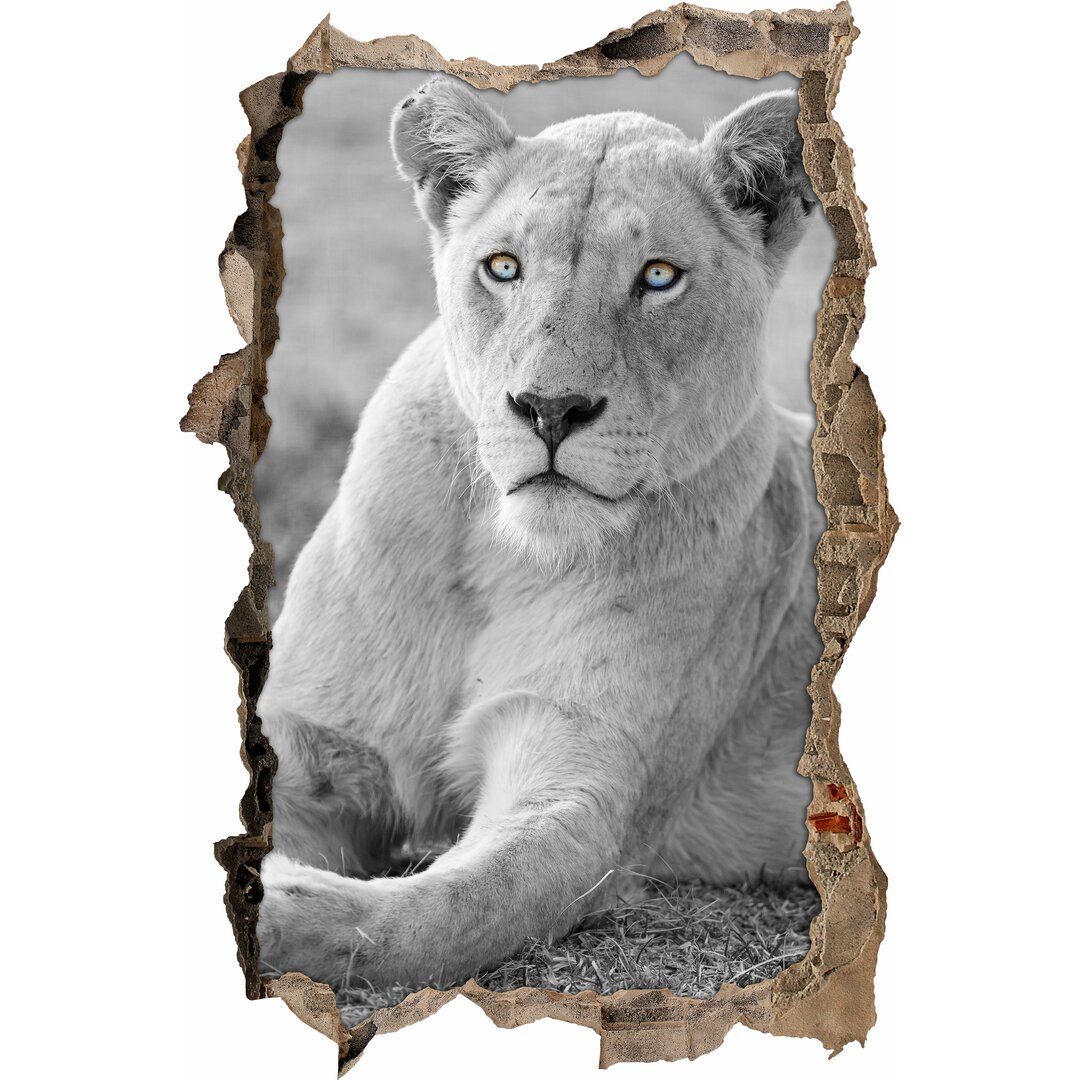 Wandaufkleber Majestic Lioness White