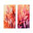 Toile tendue