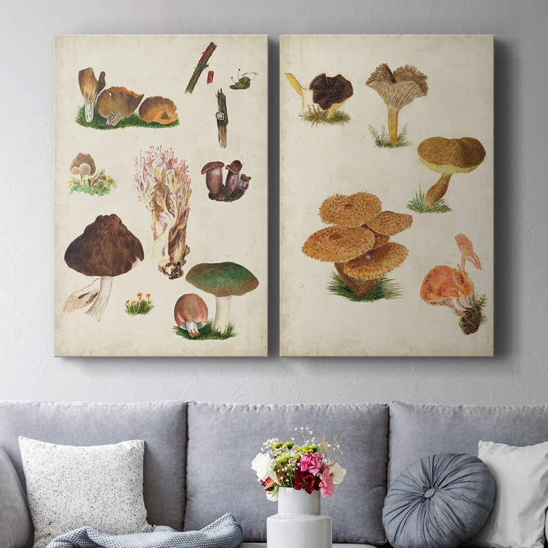 Toile tendue avec châssis Mushroom Species IX-Premium - Prêt à être accroché, H 12 po x l 16 po