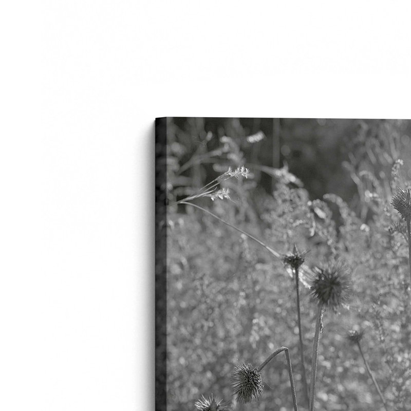 Coneflowers in Autumn by Tony Smith Canvas Art Print, 18" H x 12" W