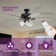 Chyeanne 52'' Ceiling Fan with Light Kit