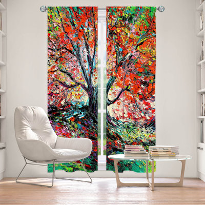 Fayyad Room Darkening Curtain Pair