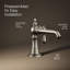 Artifacts® Single Hole Bathroom Faucet with Drain Assembly-11044754