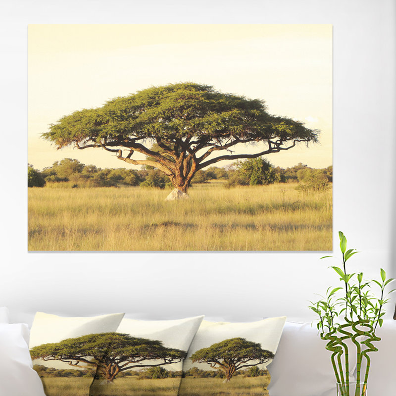 Acacia sur une plaine d'Afrique - reproduction de photo, H 30 po x l 40 po, Métal métal