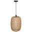 Aleccia 1 - Light Bronze Lantern Pendant