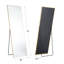 Mirta Rectangle Metal Full Length Mirror-20251745-44958262