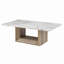 Table basse en marbre