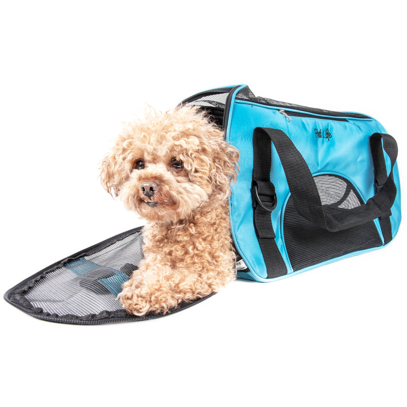 Pet Carrier, Blue, Large (13" H x 9.6" W x 21" D)