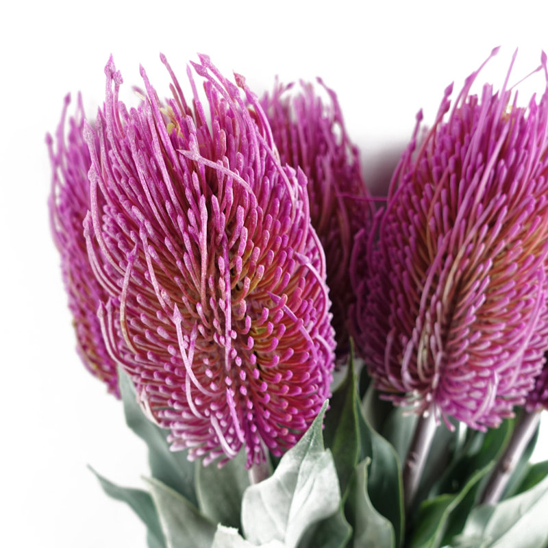 Artificial Arrangement, Pink