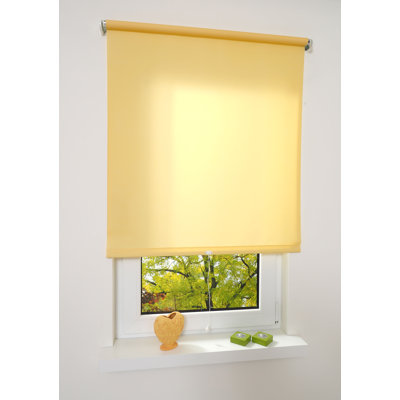 Opaque Roll-Up Blind