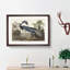 Louisiana Heron by John Audubon - Picture Frame Painting Print on MDF