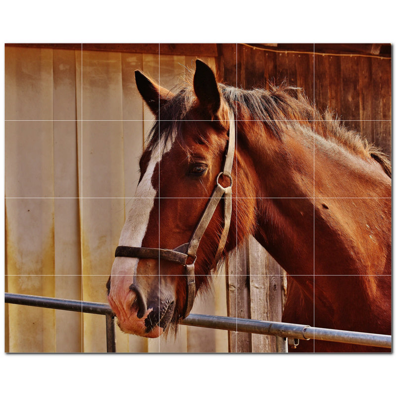 Murale en céramique satinée Horse Photo 6 po x 6 po