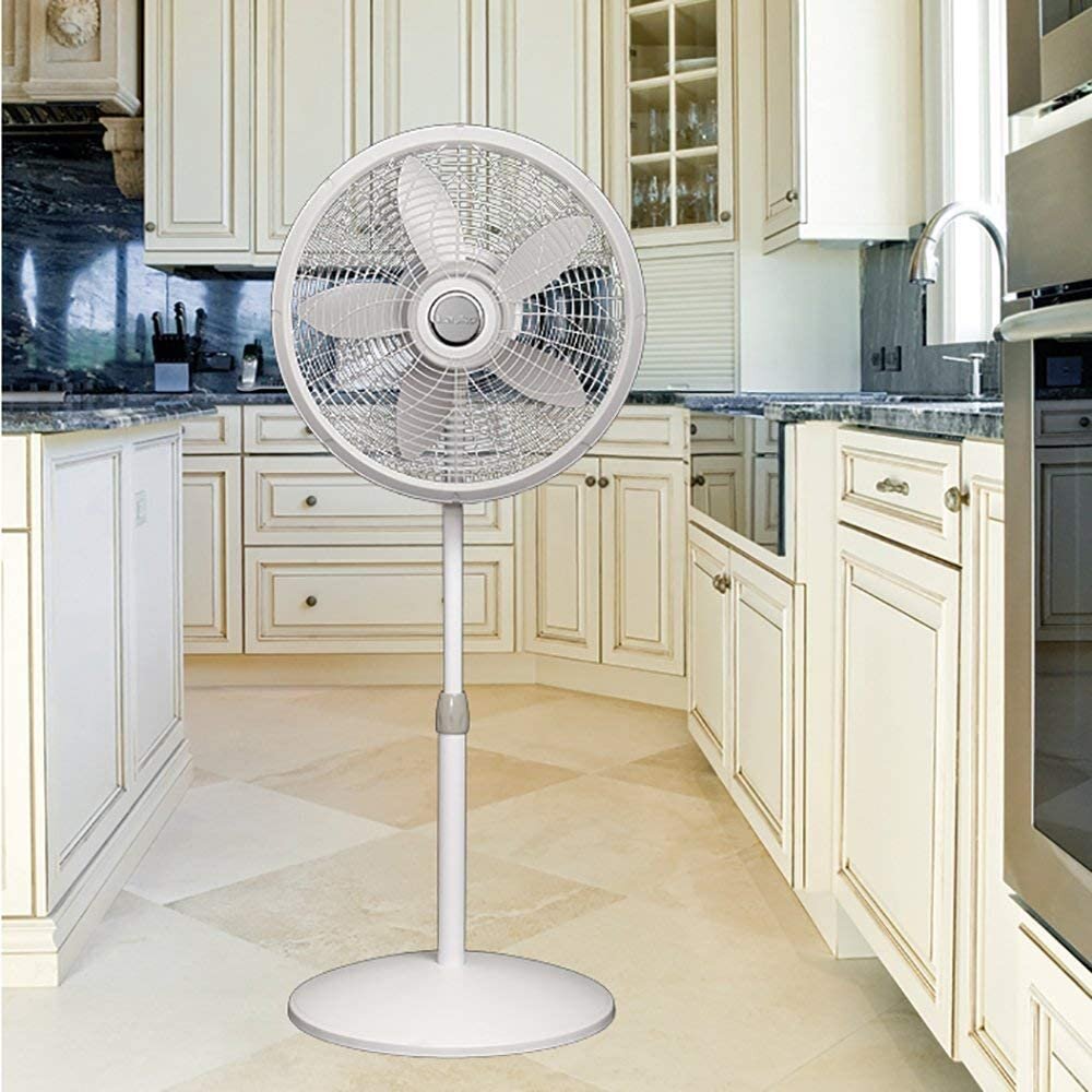 53.5 Oscillating Pedestal/Standing Fan