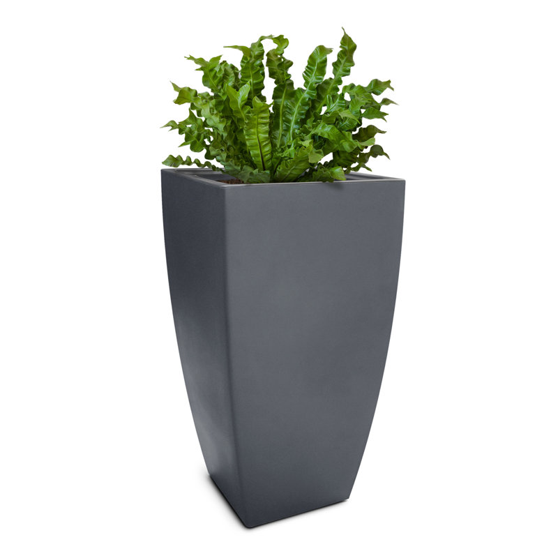 Mayne Kobi 38-Inch Self-Watering Tall Planter, Graphite Gray, 38" H x 20" W x 20" D