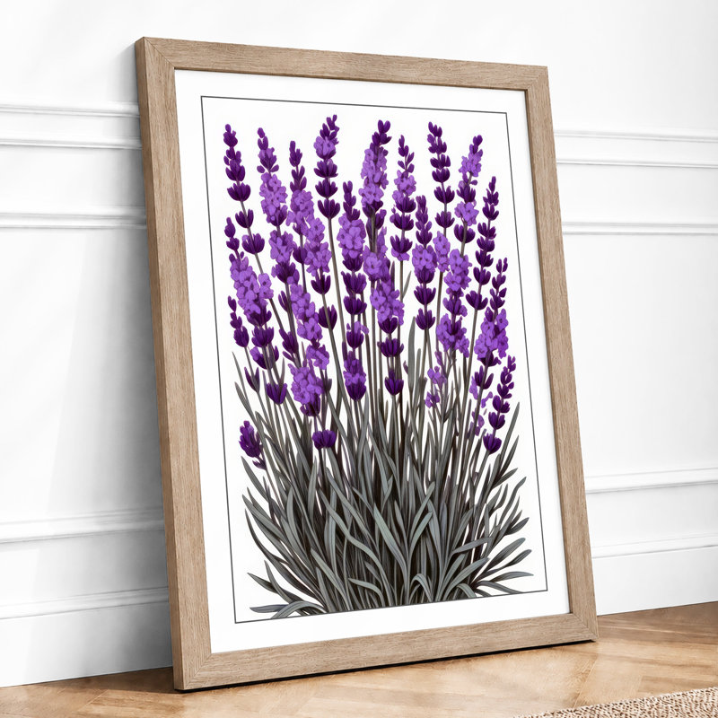 Lavender Study Botanical - Framed Print, Oak, A4 - 29.7 x 21.0 cm
