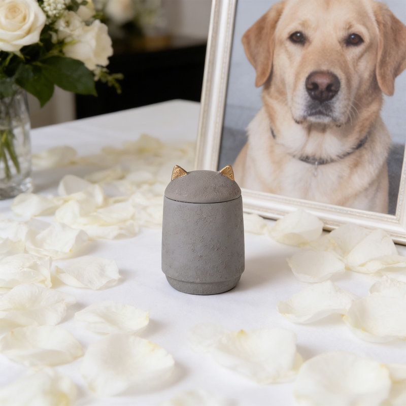 Grande urne de crémation scellée pour animaux de compagnie, Gris