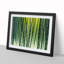 Splendorous Succulent Plant - Framed Print-700388625-700388627