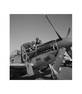 Préparation d’un fighter, reproduction de photo