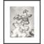 Lucent Botanicals 6 Print by Darrell Kincer-1214618727