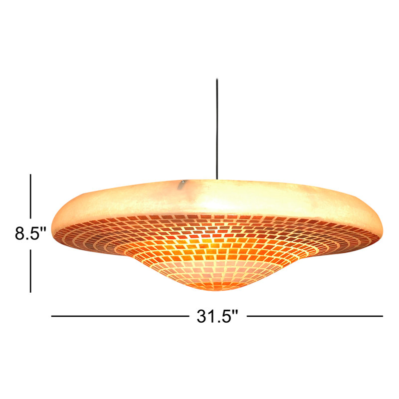 1 - Light Unique/Statement Pendant